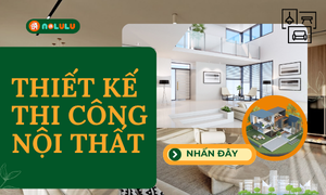 Thiết kế và thi công nội thất Nolulu