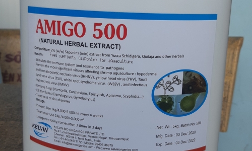 AMIGO 500 - Thảo dược giúp trị ký sinh trùng, trị nấm cho tôm cá