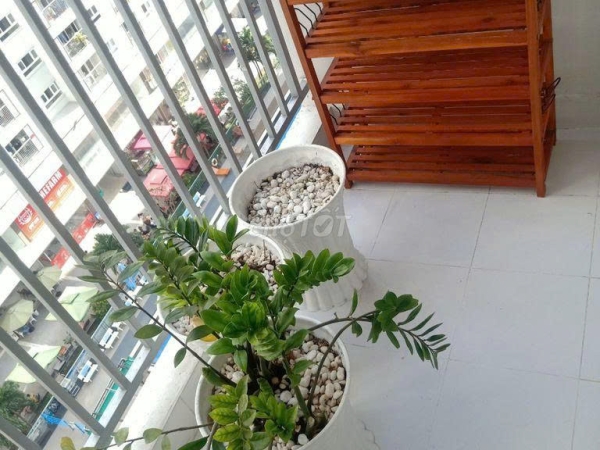 Gallery-5