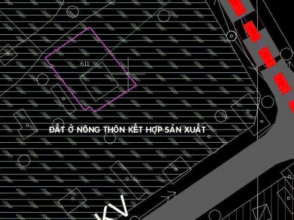 CỦ CHI – AN NHƠN TÂY