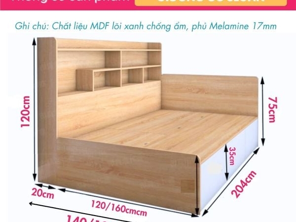 Giường Kết Hợp Giá Sách Hiện Đại Sloan